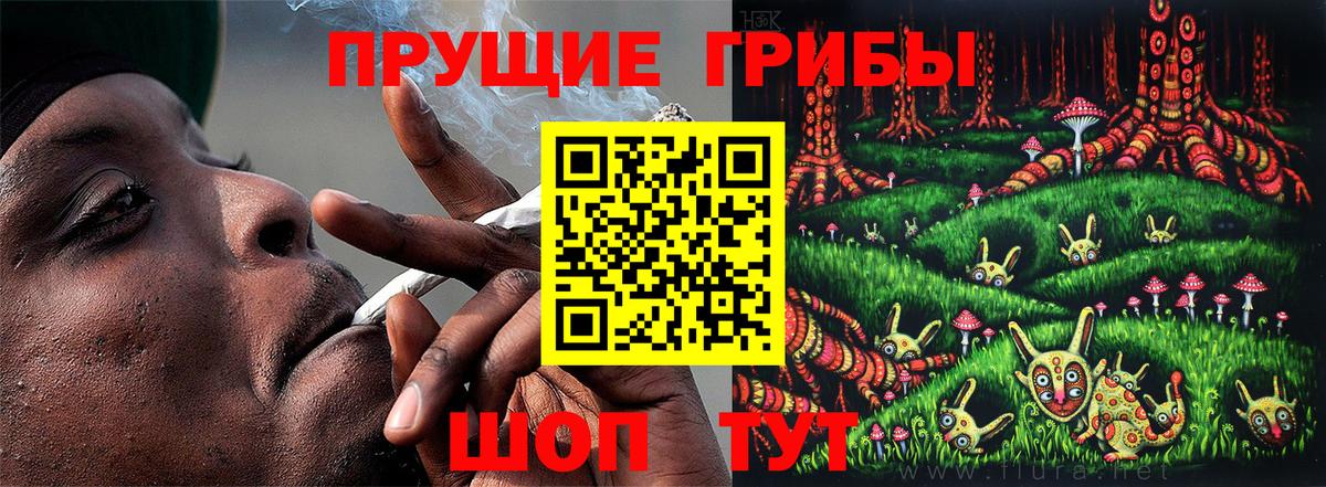 Псилоцибиновые грибы прущие грибы Куйбышев
